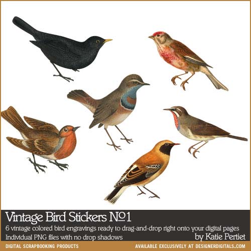 Vintage Bird Stickers 01 - Katie Pertiet Designs